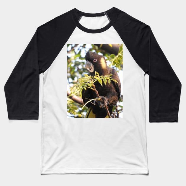 Yellow-tailed Black Cockatoo Baseball T-Shirt by kirstybush